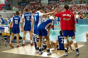 siatkówka, mecz, memoriał humerta wagnera, kibic, polska-brazylia
