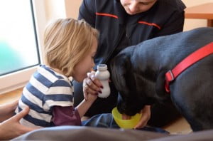 kynoterapia,dogoterapia, polskie towarzystwo kynoterapeutyczne 